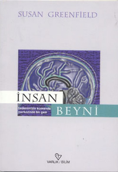 İnsan Beyni İnsan Beyni