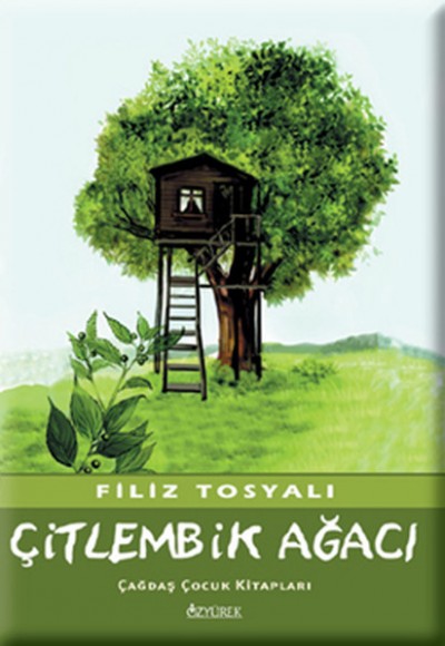 Çitlembik Ağacı Çitlembik Ağacı