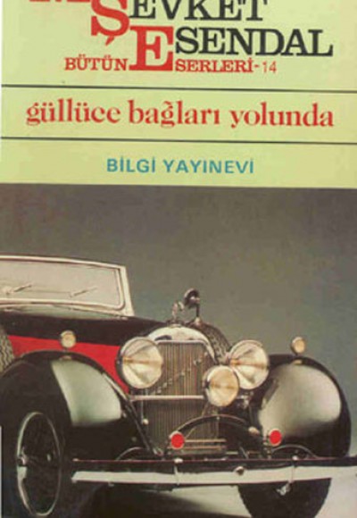 Güllüce Bağları Yolunda Güllüce Bağları Yolunda