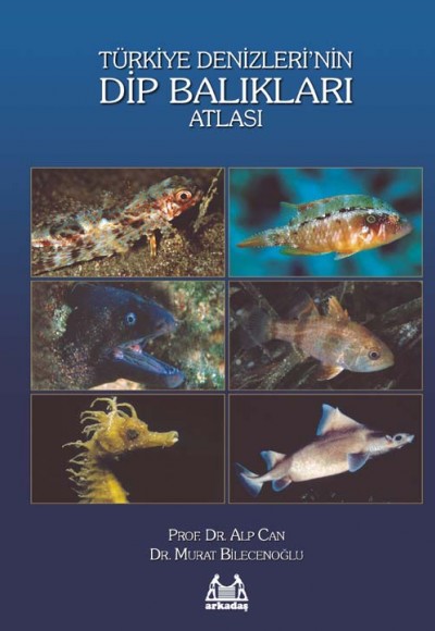 Türkiye Denizlerin Dip Balıkları Atlası Türkiye Denizlerin Dip Balıkları Atlası