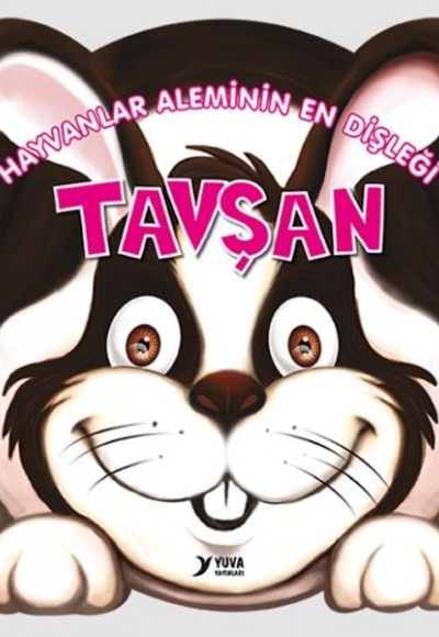 Hayvanlar Aleminin En Dişleği : Tavşan Hayvanlar Aleminin En Dişleği : Tavşan