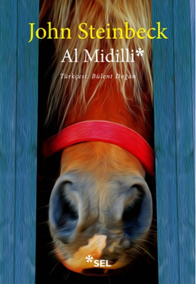 Al Midilli Al Midilli
