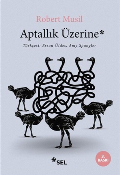Aptallık Üzerine Aptallık Üzerine