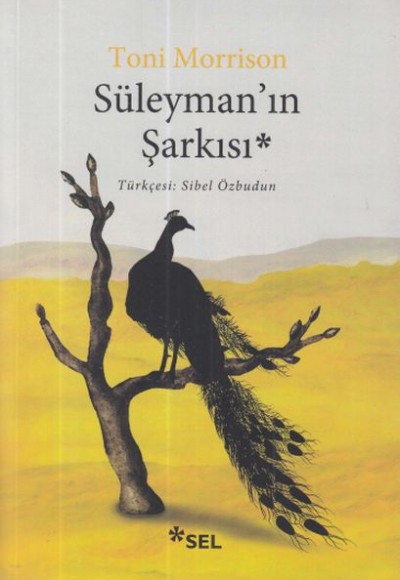 Süleyman’ın Şarkısı Süleyman’ın Şarkısı