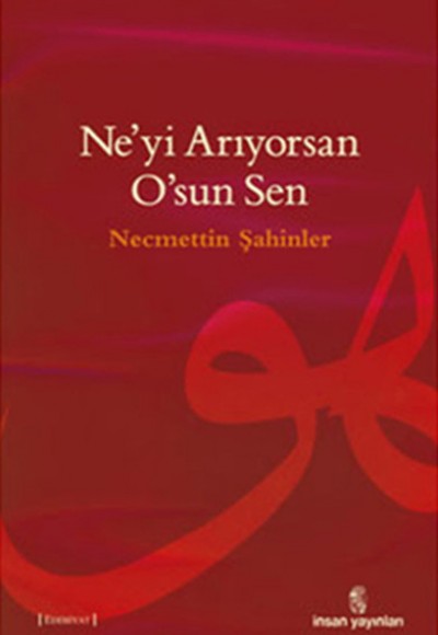 Ne'yi Arıyorsan O'sun Sen Ne'yi Arıyorsan O'sun Sen
