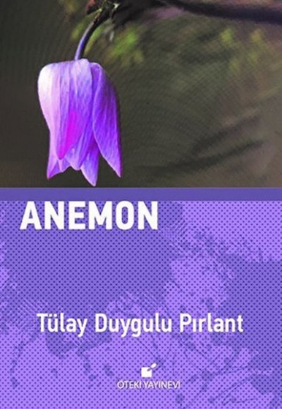 Anemon Anemon