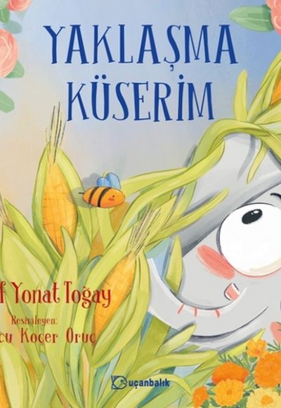 Yaklaşma Küserim Yaklaşma Küserim