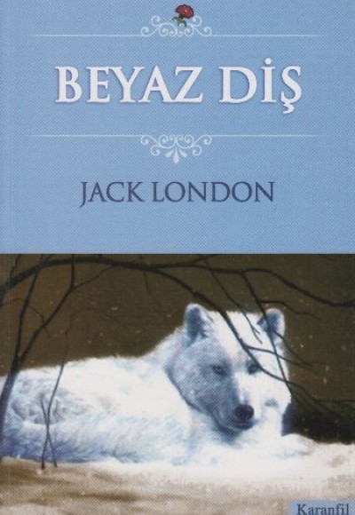 Beyaz Diş Beyaz Diş