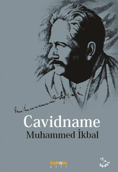Cavidname Cavidname
