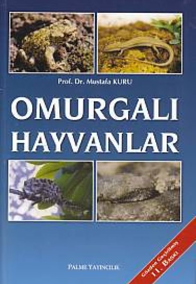 Omurgalı Hayvanlar