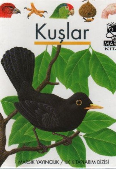Kuşlar / İlk Kitaplarım Dizisi Kuşlar / İlk Kitaplarım Dizisi