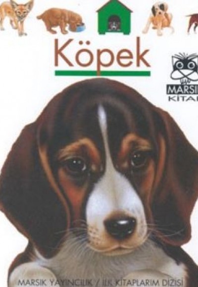 Köpek Köpek