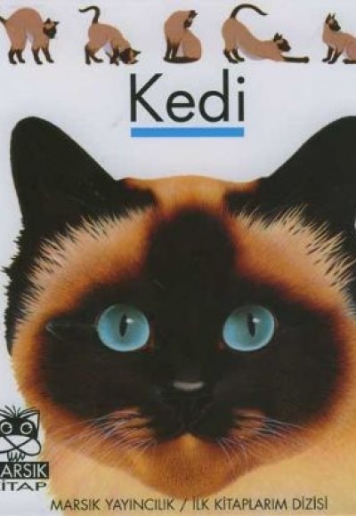 Kedi / İlk Kitaplarım Dizisi Kedi / İlk Kitaplarım Dizisi