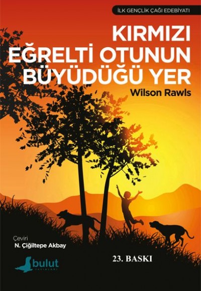 Kırmızı Eğrelti Otunun Büyüdüğü Yer Kırmızı Eğrelti Otunun Büyüdüğü Yer