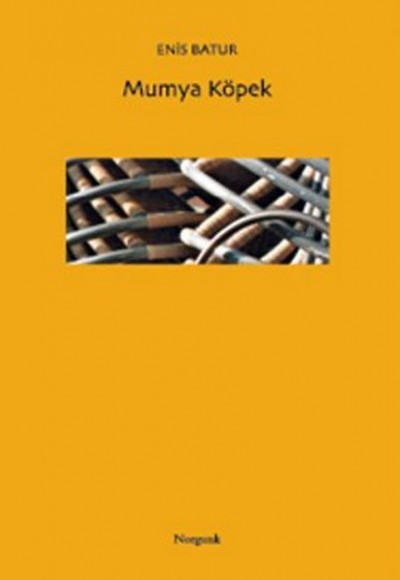 Mumya Köpek Mumya Köpek