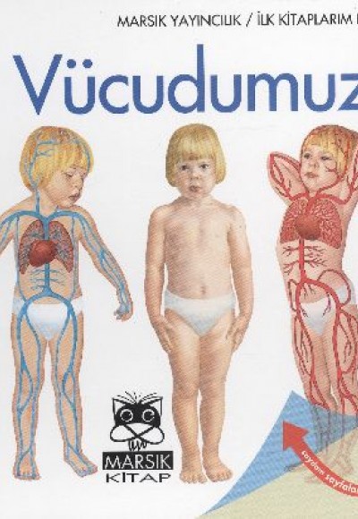 Vücudumuz / İlk Kitaplarım Dizisi Vücudumuz / İlk Kitaplarım Dizisi