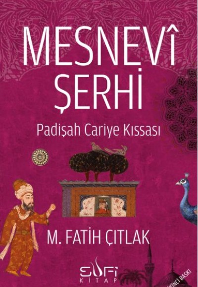 Mesnevi Şerhi Mesnevi Şerhi