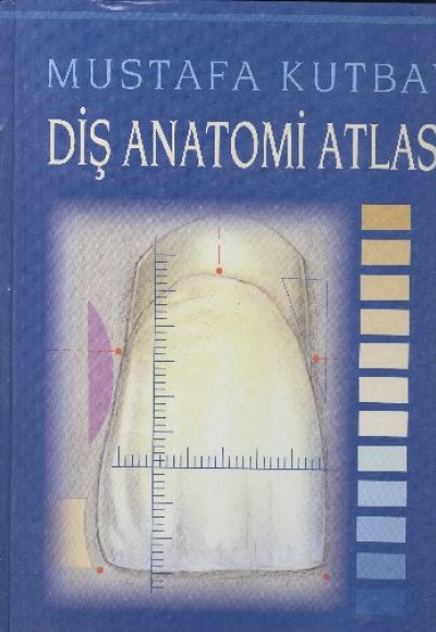 Diş Anatomi Atlası Diş Anatomi Atlası