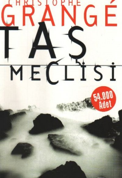 Taş Meclisi Taş Meclisi