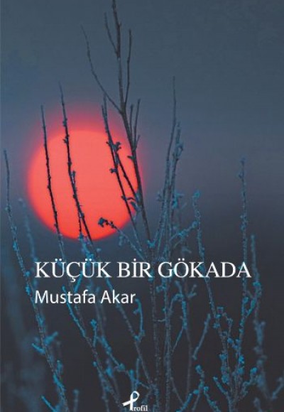 Küçük Bir Gökada Küçük Bir Gökada