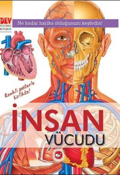Dev Posterli Kitabım - İnsan Vücudu Dev Posterli Kitabım - İnsan Vücudu