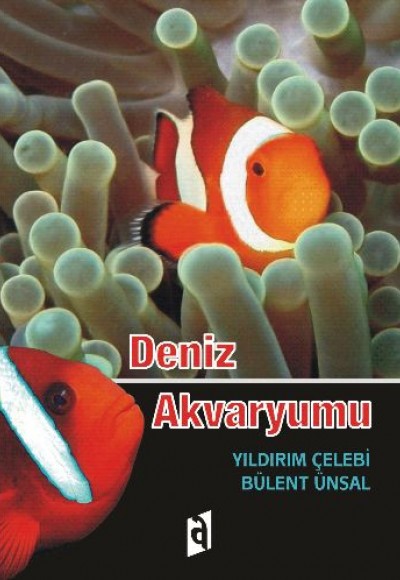 Deniz Akvaryumu Deniz Akvaryumu