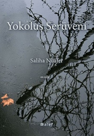 Yokoluş Serüveni Yokoluş Serüveni