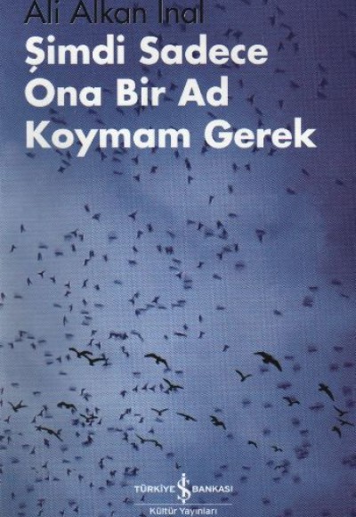 Şimdi Sadece Ona Bir Ad Koymam Gerek Şimdi Sadece Ona Bir Ad Koymam Gerek