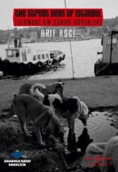 İstanbul'un Sokak Köpekleri İstanbul'un Sokak Köpekleri