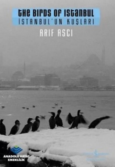 İstanbul'un Kuşları İstanbul'un Kuşları