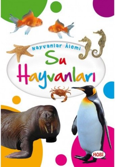 Hayvanlar Alemi - Su Hayvanları Hayvanlar Alemi - Su Hayvanları