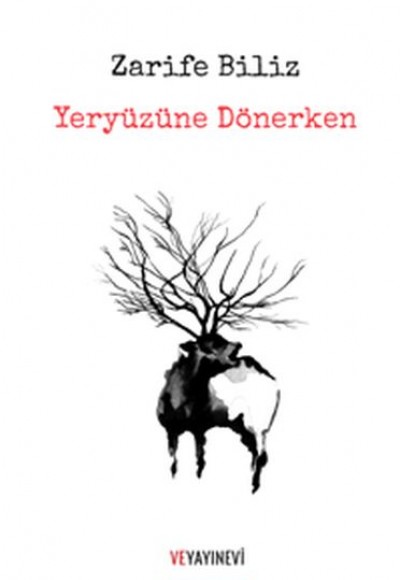 Yeryüzüne Dönerken Yeryüzüne Dönerken