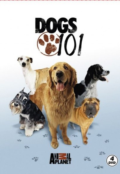 Dogs 101 - Köpekler Dogs 101 - Köpekler