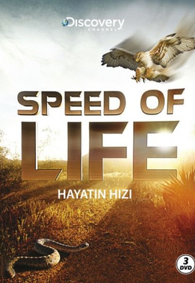 Speed Of Life - Hayatın Hızı Speed Of Life - Hayatın Hızı