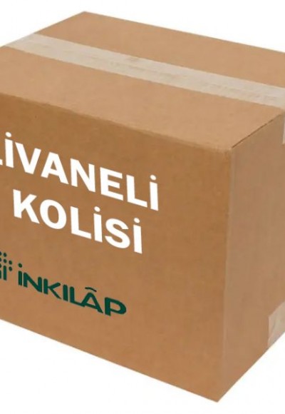 Livaneli Kolisi (21 Kitap - 72 Adet)