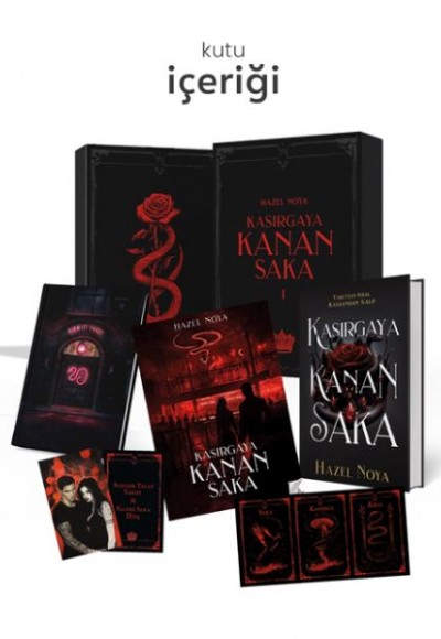 Kasırgaya Kanan Saka 1-  Hediyeli Özel Kutu (Ciltli)