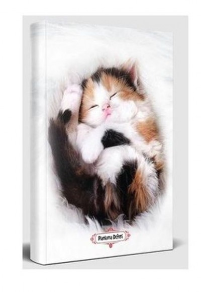 Uykucu Kedi - Planlama Defteri