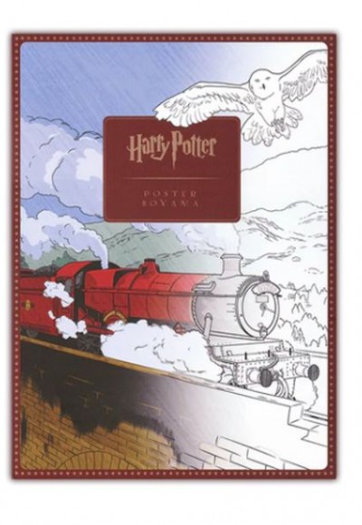 Harry Potter Poster Boyama Seti