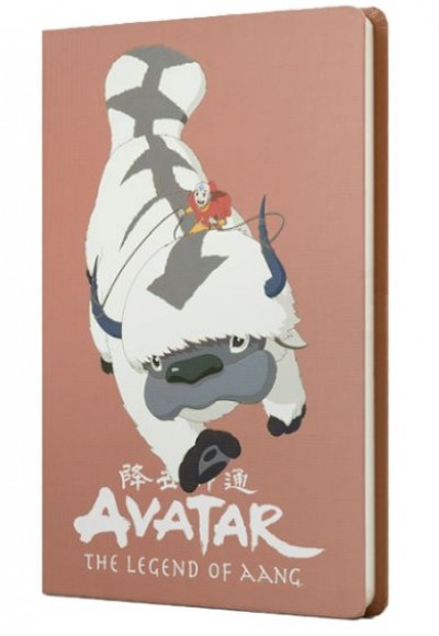 Avatar Appa ve Aang Sert Kapak Butik Defter Puce Rengi