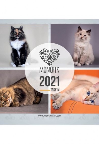 Kedili Katlamalı Duvar Takvimi 2021