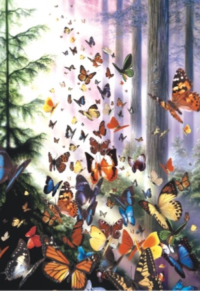 Kelebek Ormanı (Puzzle 1000) 3069