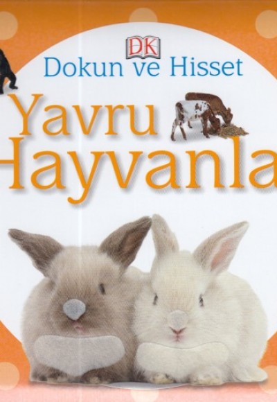 Dokun ve Hisset - Yavru Hayvanlar