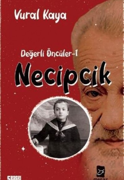 Necipcik