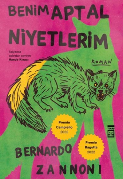 Benim Aptal Niyetlerim