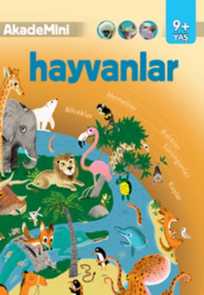 AkadeMini Hayvanlar