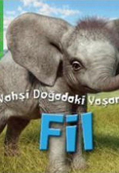 Animal Planet Doğadaki Vahşi Yaşamım Fil