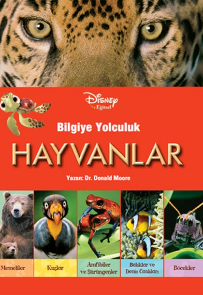 Disney Eğitsel- Bilgiye Yolculuk- Hayvanlar