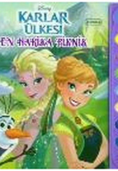 Disney Karlar Ülkesi - En Harika Piknik (8 Düğmeli Sesli Kitap)