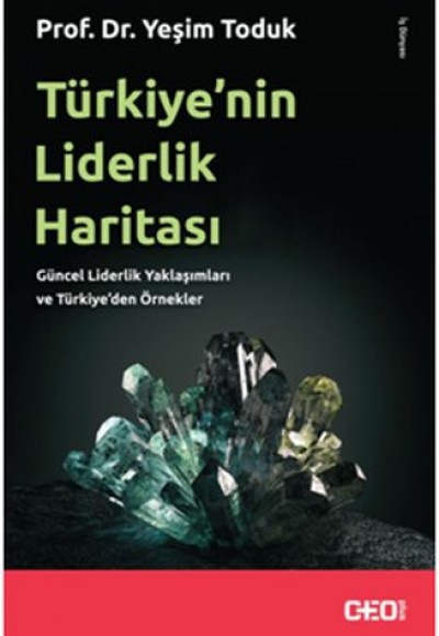 Türkiye'nin Liderlik Haritası