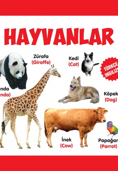 Hayvanlar Türkçe-İngilizce